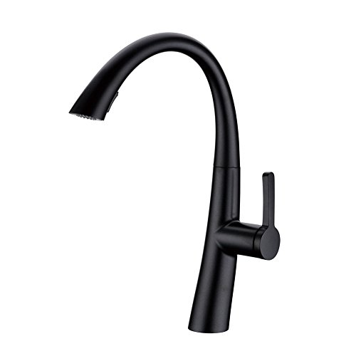 GICASA Messing Einstab unten Sprüher Küchenarmatur , ausziehbare Küchenmixer rotierenden Düsen schwarze Armaturen