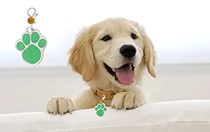 Sage Square Paw Footprint Shape Collar Tag Cum Pendant for Dog/Puppy/Kitten/Cat (Geen)