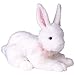 Produktbild TY Alfalfa the White Rabbit Classic 30.48 cm
