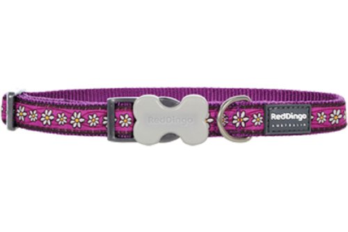 Red Dingo Bucklebone Dog Collar Design, Daisy Chain Purple, X-Small 12mm