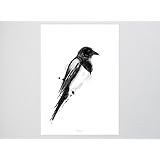 Kunstdruck Poster / Birdy No. 4