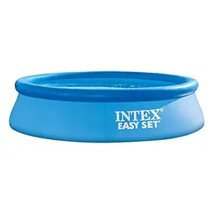 Intex 28120 Easy Set Swimming Pool, Blue
