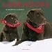 Labradors 2012. Broschürenkalender: 16-Month Calendar by