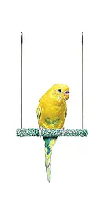 Penn-Plax Bird-Life Trimmer Plus Cement & Metal Swing ? Naturally Trims Nails & Beak ? Great for Parakeets, Cockatiels, Finches, and Other Small Birds ? Small Size