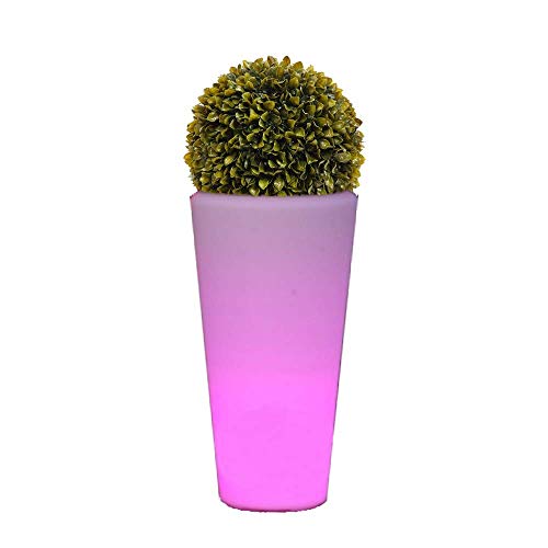 La Vida en Led Pot de fleurs lumineux LED RVB rechargeable
