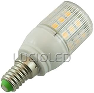 Protected E14 360 ° 12 V/24 V 24 LEDs SMD 5050 Warm White