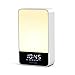 Produktbild fghfhfgjdfj Wecker Wake Up Light Tischleuchte Nachtlicht Smart Touch Freisprechfunktion Auto Off Light