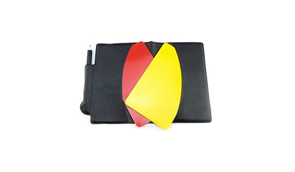 Carry Stone Larbitre Dentraîneur A Placé Le Stylo Et Le