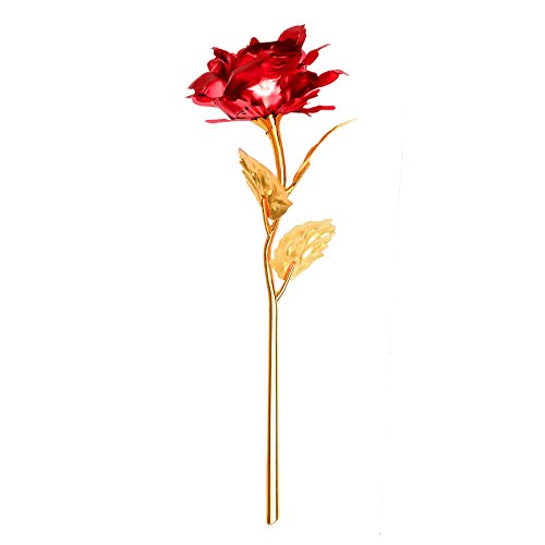 Rose 24 K vergoldet Rose Blume mit Geschenk-Box Beste Geschenk für Valentinstag Muttertag Weihnachten Geburtstag Golden/Rot/Lila/Blau – rot - 6