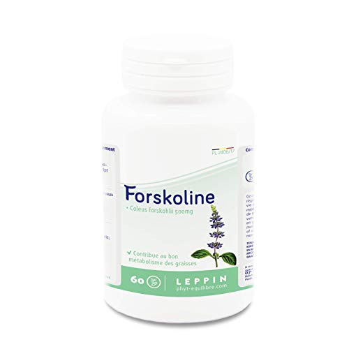 LEPPIN Forskoline Forte 500mg - 60gélules VEGAN | Perte de poids | Puissant brûleur de graisses | Coupe Faim | Extrait pur de Coleus forskohlii