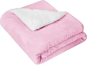 BSB HOME Flannel Twin Winter Blanket, Baby Pink, 1 Piece