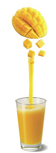 Moulinex LM310E Standmixer Faciclic Maxi Glas mit innovativem und leistungsstarkem Edelstahlmesser (500 Watt. 1,75 L Volumen, 2 Geschwindigkeitsstufen) silber/ schwarz - 8