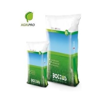 Bottos DICONDRA DICHONDRA REPENS Semi Professionali Prato Tappeto - Foto 4