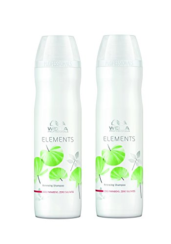 Preisvergleich Produktbild Wella 2x Care Elements Stärkendes Shampoo 250 Ml