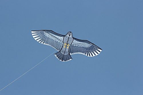i am bird eagle kite huge 1.6m wing span,single line easy flying