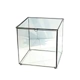 verre blanchis au lave vaisselle 4. Ideale Größe für Farn, Moos, Sukkulenten, Airplants, Kakteen oder andere Pflanzen mit einfacher Pflege