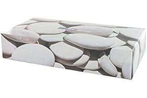 Techline Boîte de 100 mouchoirs 2 Plis Blancs