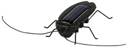 Preisvergleich Produktbild basicXL basicXL Solar Kakerlake