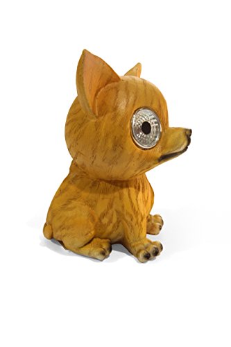 LED Solar Hund, Solarleuchte, Gartenleuchte, Chihuahua - 2