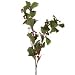 Produktbild Ilex, geeist, 80 cm x 30 cm - Rot/Grün (künstlich)
