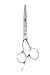 Shears Direct Left Handed Professional Cutting Shear, 6 Inch, 2.3 Ounce RS.6120.00