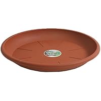 Platillos para plantas | Amazon.es