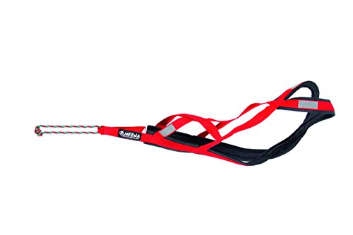 Neewa Pro, Sled Arnés, Rojo, S