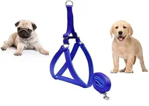 S.Blaze Blue Colour Body Harness Collar Chain Belt & Leash for Puppies.