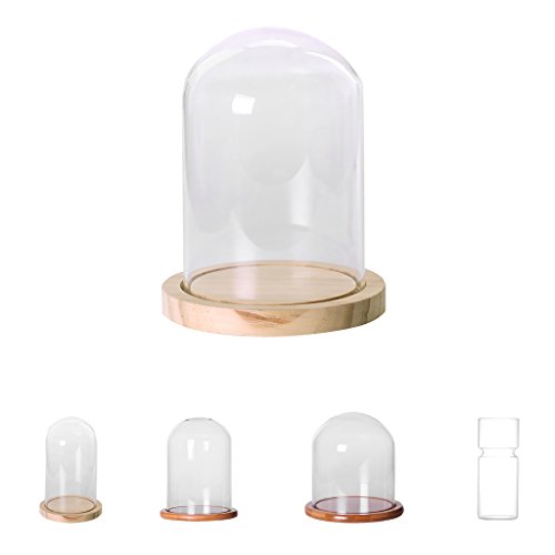 MagiDeal Garten Deko Transparente Glasglocke Glashaube Glassturz mit Holzboden für Pflanzen Blumen - 8