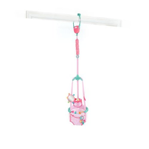 Bright Starts Huggable Hoot Door Jumper