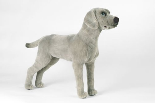 Preisvergleich Produktbild Kösener 5510 - Weimaraner stehender Hund 39 cm hellgrau