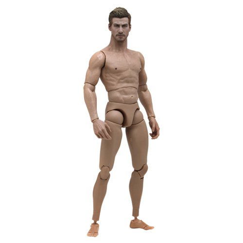 Hot Toys TrueType - 1/6 Scale Action Figure Body: New Generation - Caucasian Male (Muscular Body Version) (Fashion Doll)
