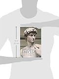 Image de Michelangelo's David: Florentine History and Civic Identity