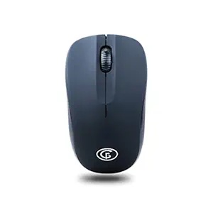 GoFreeTech GFT-M001 Wireless Optical Mouse (Black)