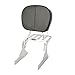 Produktbild XMT-MOTOR Niedrige Rückenlehne Sissy Bar Gepäckträger Chrom für Harley Davidson Softail FLSTC '88-'17 FXSTS '88-'05 Fat Boy FLSTF 90-'06