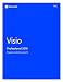 Produktbild Microsoft Visio Professional 2016 [PC Online Code]