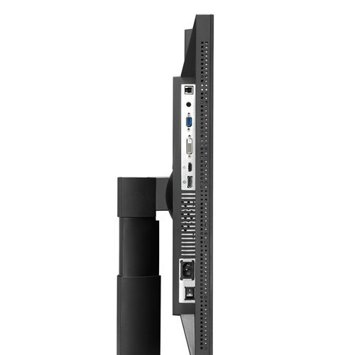 Asus PA249Q 24 1  LED IPS Monitor  80000000 1  350 cd m2  1920 x 1200  6ms  HDMI DVI-D DP VGA 