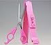 Diamondhead DIY Hair Styling Tool Set Hairdressing Scissors and Hair Cutting Bangs Ruler