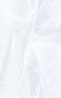 D-C-FIX Adhesif vitrostatic Murano 0,45 x 1,5 m