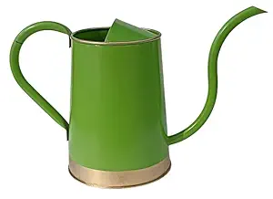 TRUPHE 2 litres Metal Watering Can for Plants with Long Spout | Green | Flower Watering Can for Home Kitchen Lawn Gardening