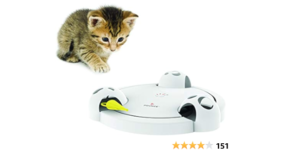 interactive mouse pounce cat toy