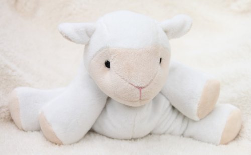 Preisvergleich Produktbild Inware 8704 - Kuscheltier Schaf als Wärmetier, Wärmekissen