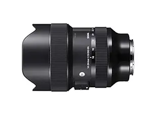 Sigma 14-24mm f/2.8 DG DN Art Lens for Sony E Mount Mirror-Less Cameras