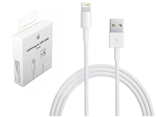 Original Apple iPhone 8 7 6 5 5S 5  C Lightning chargeur USB c  ble de donn  es iPad iPad Mini