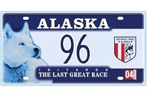 OPO 10 - Targa Auto USA - 30x15 cm Replica in Metallo: Alaska (C02)