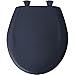Produktbild Bemis 200SLOWT 374 steigen Kunststoff Toilettensitz, rund Absenkautomatik WC-Sitz, Rhapsody blau
