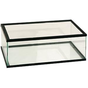 Vollglas Schildkrötenbecken 50 x 30 x 18cm #40300608