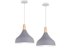 WOTTES 2 Pezzi Lampadari a Sospensione, Stile Retrò, Design a Goccia, Pendente in Metallo, per Camera da Letto, Sala da Pranzo, Cucina, Soggiorno, Ø 20 cm, Presa E27(Grigio)