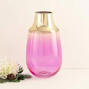 Home Centre Moksha Ombre Glass Vase