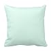Generic Custom Custom Solid Light Mint Green Color Throw Pillows Cotton Decorative Pillowcase 18inch Throw Pillowcase Cushion Cover Twin Sides